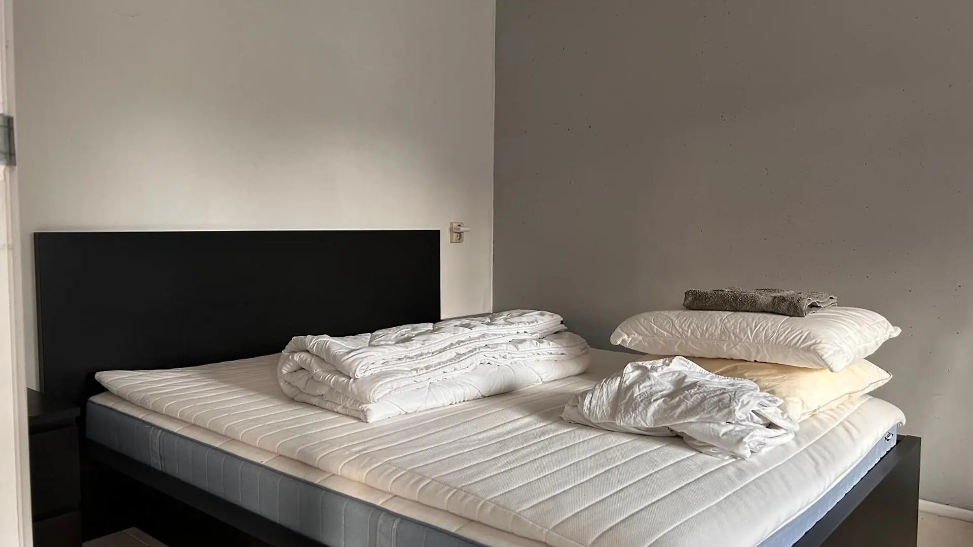 Homestay Properties Amsterdam