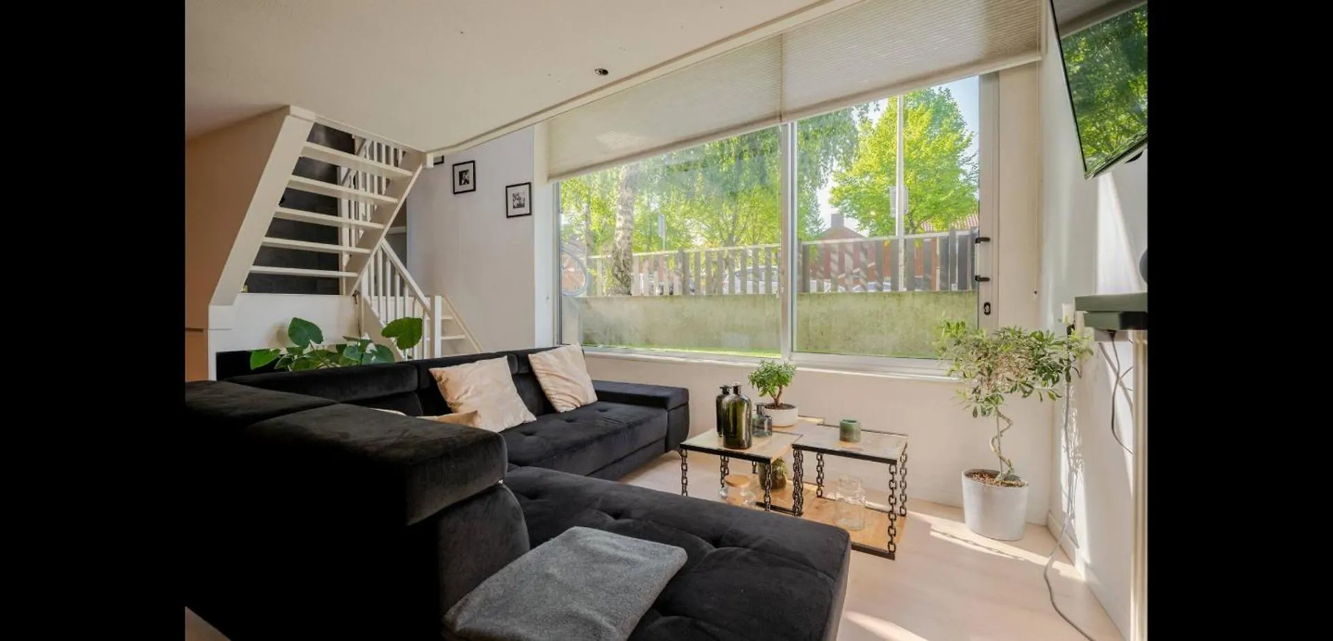 אמסטרדם Homestay Properties